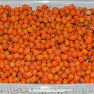 IQF sea buckthorn berries